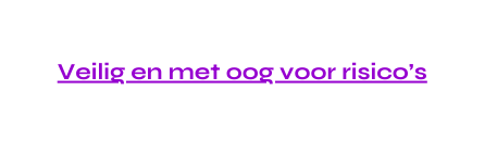 Veilig en met oog voor risico s